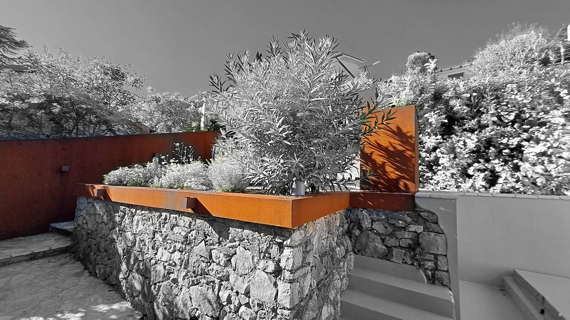 Corten steel raised bed stone wall olive Adriatic Croatia