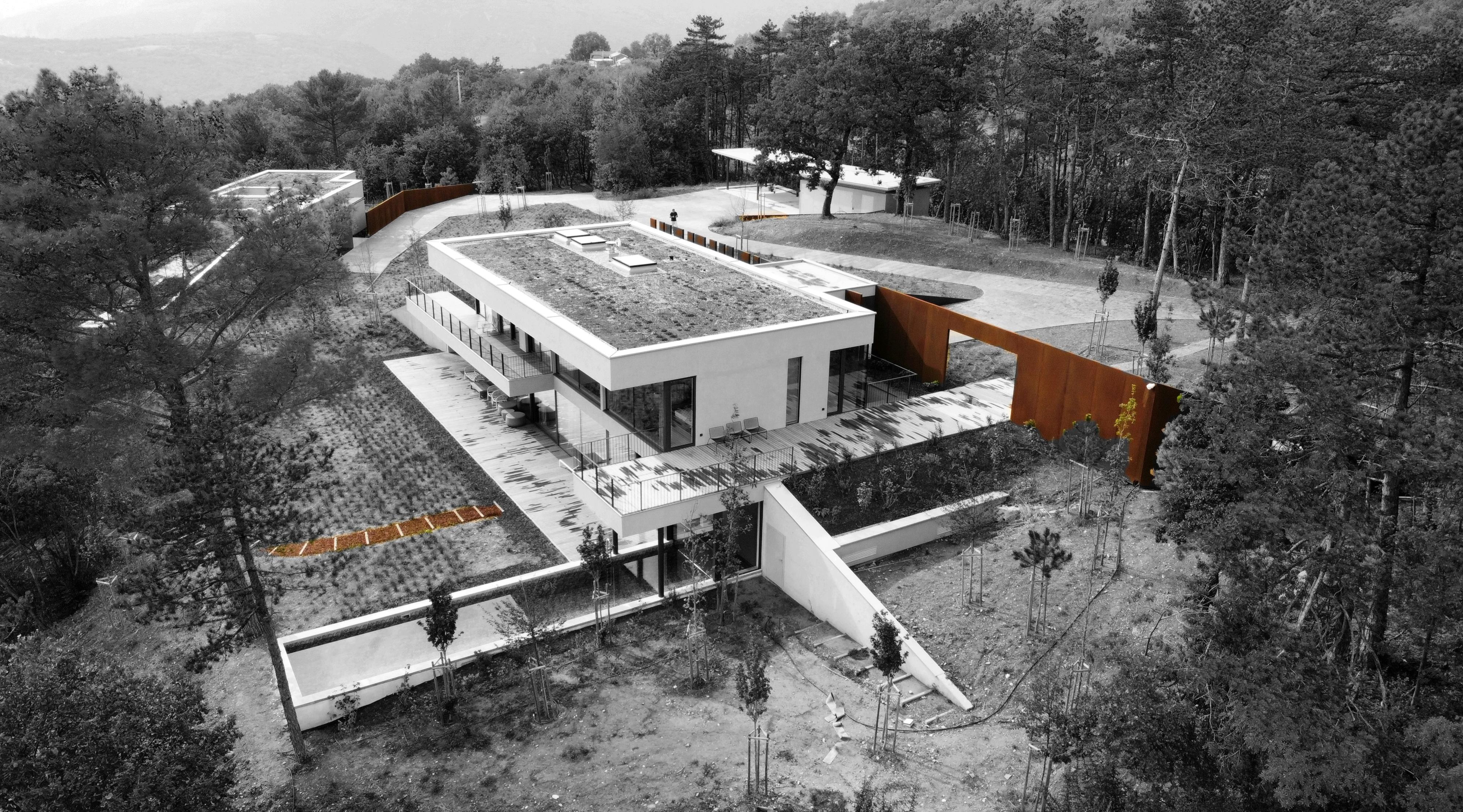 Luxury villa corten steel aerial green roof close Slovenia